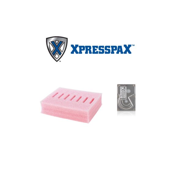 XpresspaX insert valise de transport pour disques durs