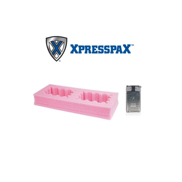 XpresspaX insert valise de transport pour disques durs avec châssis